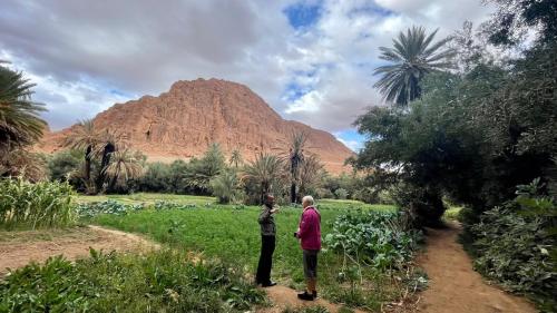 Guesthouse Panorama Todra Guesthouse Panorama Todra