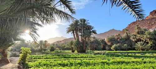 Guesthouse Panorama Todra Guesthouse Panorama Todra