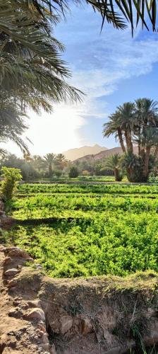 Guesthouse Panorama Todra Guesthouse Panorama Todra