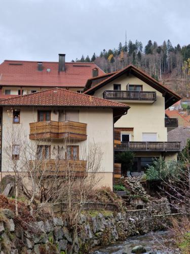 Hotel Löwen - image 8