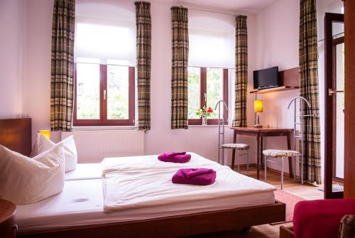 Pension an der Pillnitzer Schlossfähre, Drezno (zdjęcie 5)