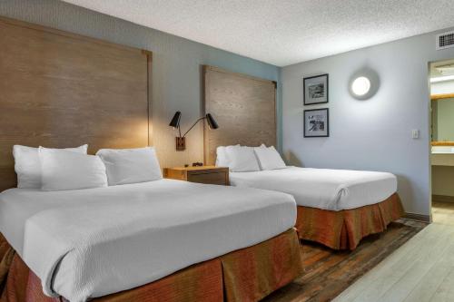 Queen Room with Two Queen Beds and Sofa Bed - Pet Friendly