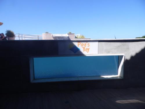 Apartment with Balcony image 10