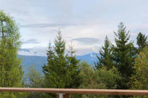 Alone in Chalet with view on Dolomites