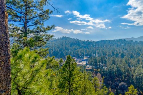 Hold Your Horses Hold Your Horses