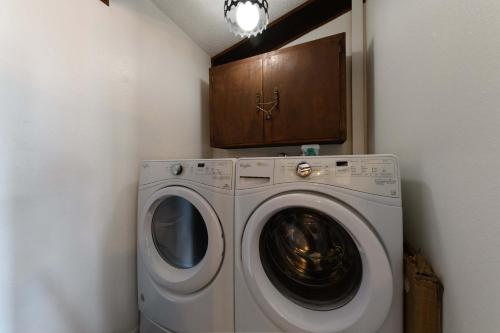 Hold Your Horses Hold Your Horses