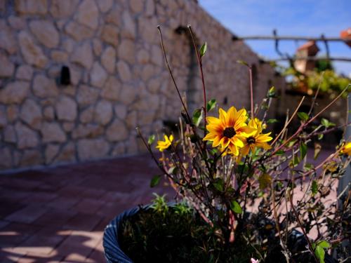 SECRET WELLNESS SECRET WELLNESS