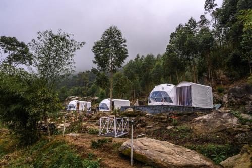 Grow Tree Glamping評價、特色體驗、房價資訊、訂房連結 – 山林秘境豪華帳篷住宿 - 照片 1