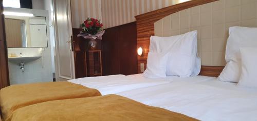 Hotel Okresní Dům - image 14