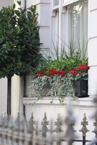 Phoenix Hotel - image 9