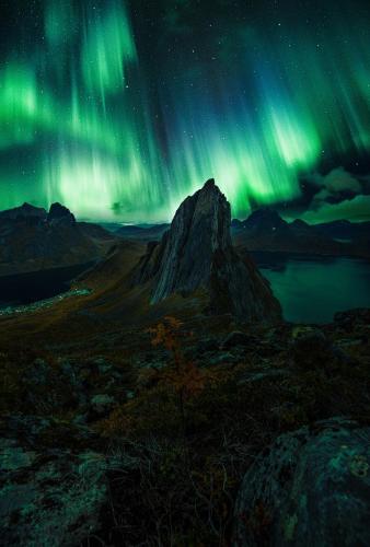 Наличие на забележителност наблизо, Polar Panorama Lodge in Fjordgard