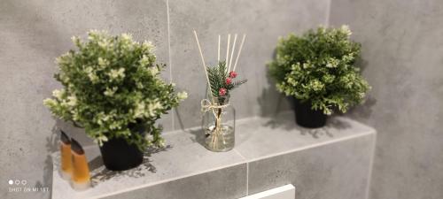 Apartament Szafirowy MULTI HOUSE