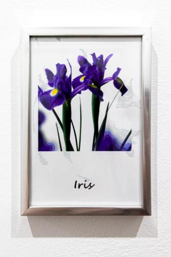 Elisir B & B - image 13