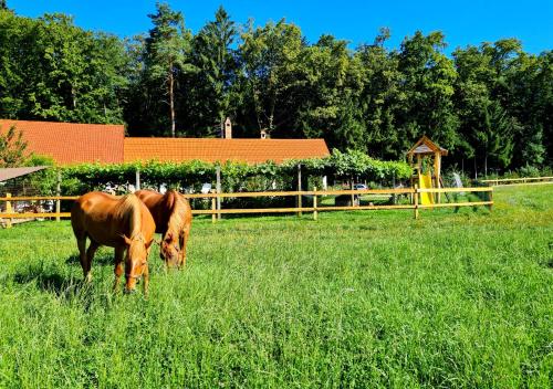 Turistična kmetija Hiša ob gozdu pri Ptuju