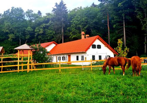 Turistična kmetija Hiša ob gozdu pri Ptuju - Ptuj