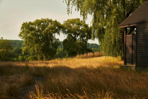 Inness - image 8