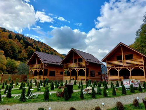 Aroa Mountain, Zărneşti (foto 2)