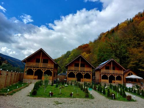 Aroa Mountain, Zărneşti (foto 3)