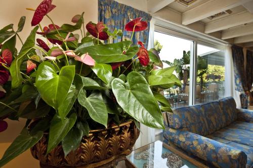 Excelsior Belvedere Hotel & Spa - image 11