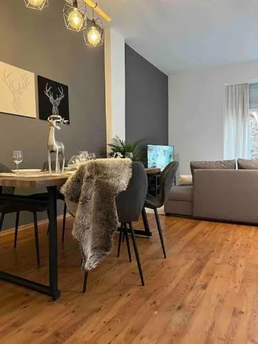 AKK5 Großes Apartment mit Terrasse Nähe Hbf/Uni in Magdeburg, Deutschland