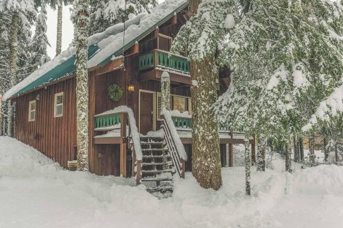 Moosewood Cabin - Government Camp