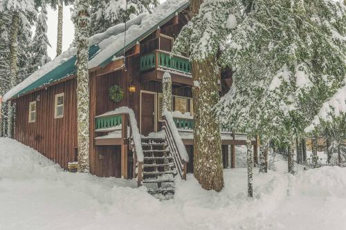 Moosewood Cabin - Meredith Lodging, Говермент Кэмп