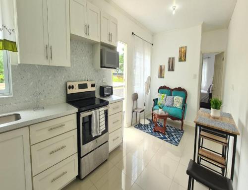 Private Modern Apartment in the Kingston City