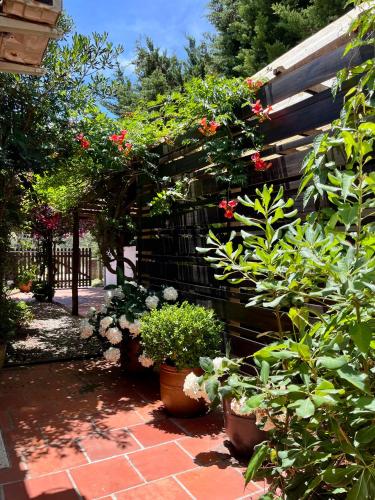 مدخل, Viento Azul Guest House in La Barra