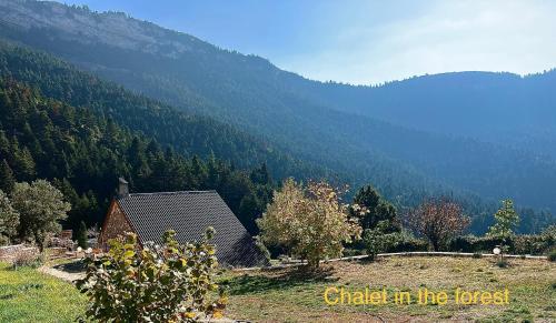 Chalet in the Forest, Kalavrita (foto 4)