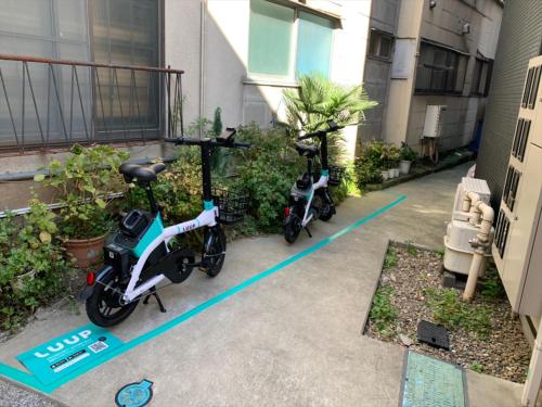 宿家 鶯