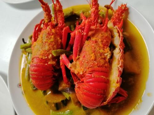 Restaurant, Titaays Surfers Inn in Catanduanes