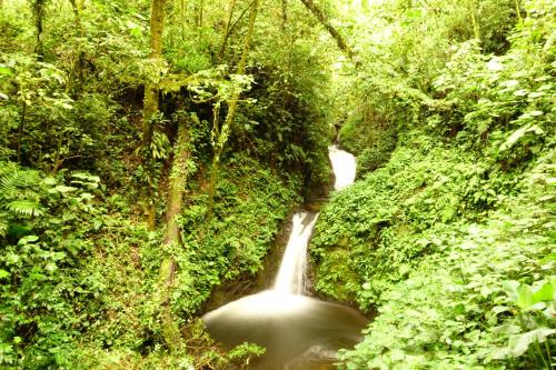 Közeli látványosságok, Casa Alquimia in Monteverde