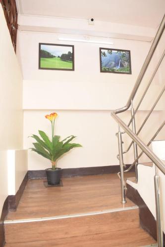 White Rabbit Guest House in Lachumiere