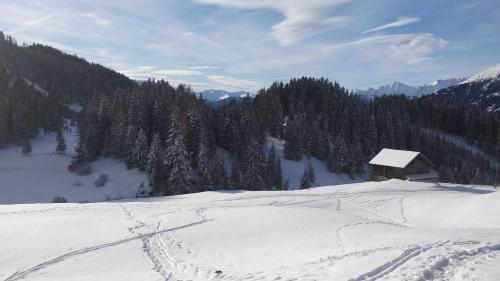 Wirtshaus zum Wiesejaggl
