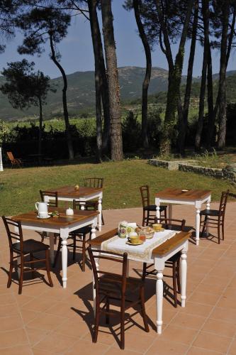 Restaurant, Il Maggese in Scanizza