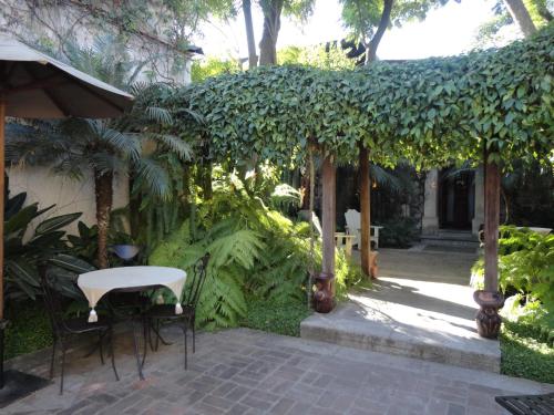 Cissus Hotel Boutique - image 3