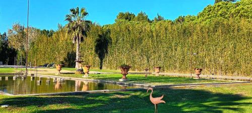 Pumperhouse Arles Camargue