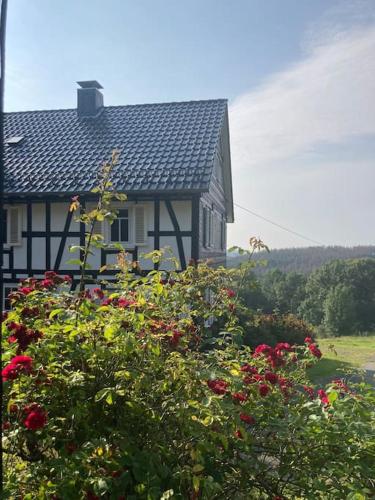 Ferienwohnung am alten Backhaus - Apartment - Bad Berleburg