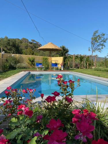  Villetta La Cellula in Casa Alzi