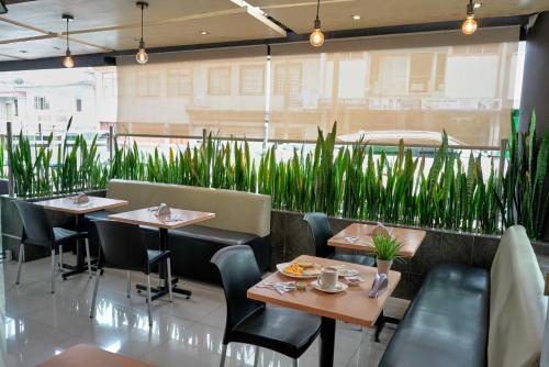 Hotel Volare 4