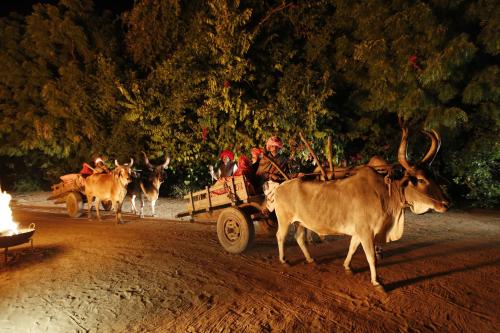 41076367 The Rawla Narlai - A Luxury Heritage Stay in Leopard Country