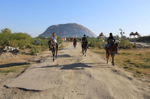 41076369 The Rawla Narlai - A Luxury Heritage Stay in Leopard Country