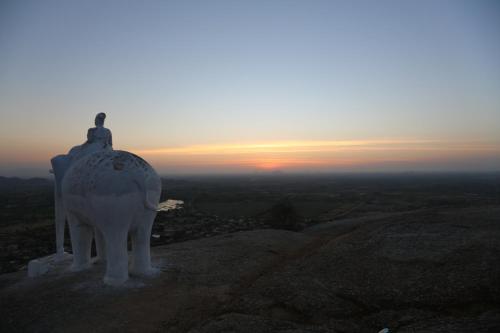 41076428 The Rawla Narlai - A Luxury Heritage Stay in Leopard Country