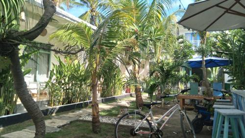 Palm Trees Villas