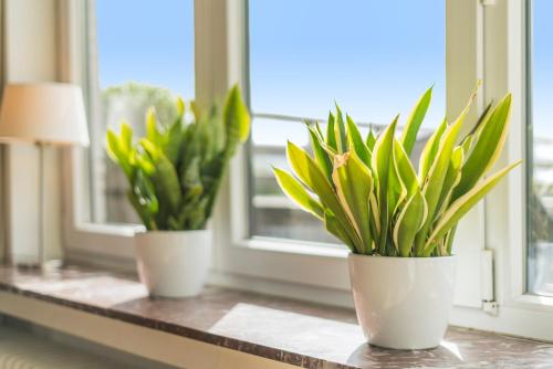 Fuths Penthouse 55 - image 8