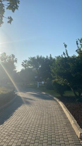 יולי גולף יולי גולף