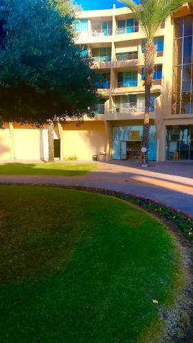 יולי גולף יולי גולף