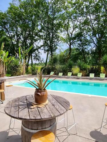 Villa de 7 chambres avec piscine privee jardin amenage et wifi a Saint Jean de Marsacq