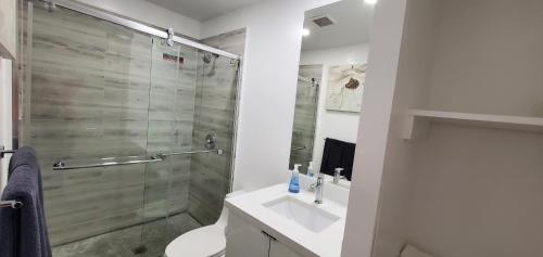 Modern Home, Excellent Location Miami