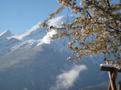 Hotel-Gasthof Nutzkaser - image 7